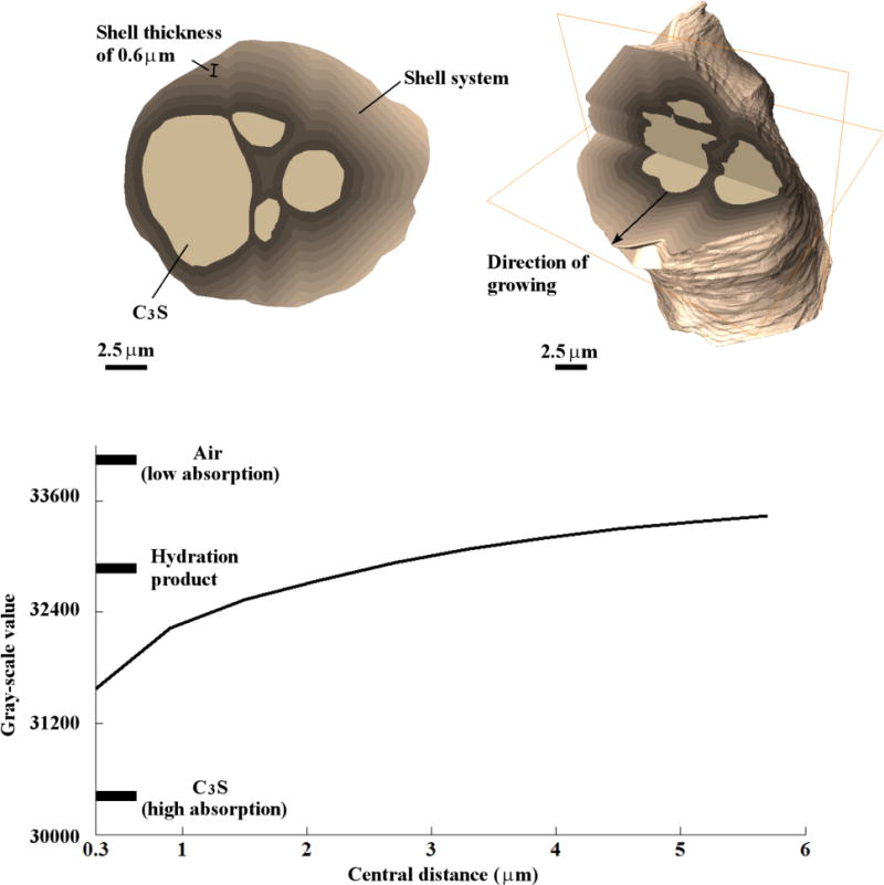 Fig. 8