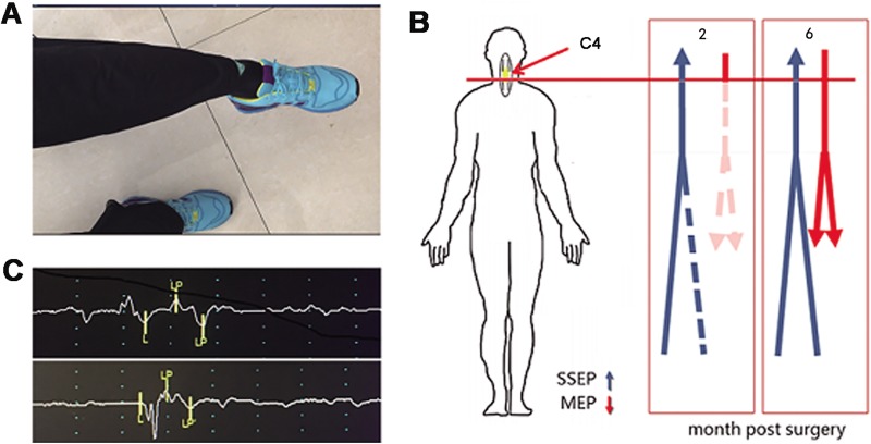 Figure 5.