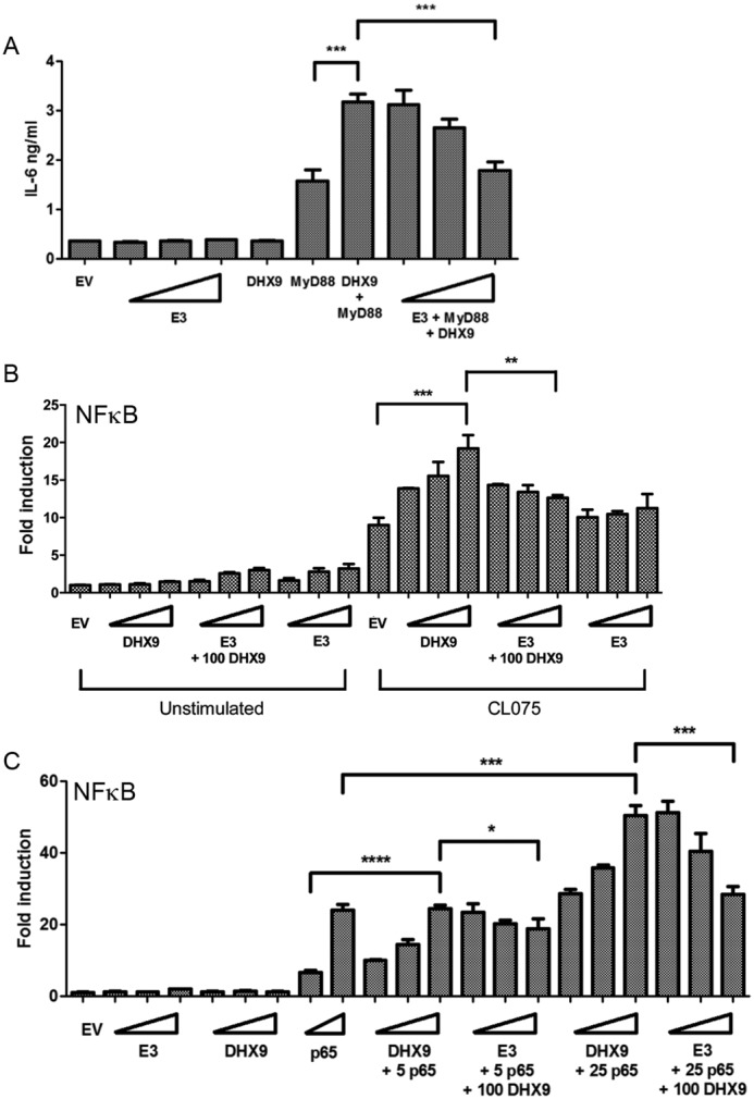 Figure 10.