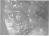 80