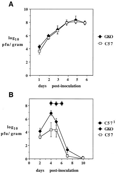 FIG. 6