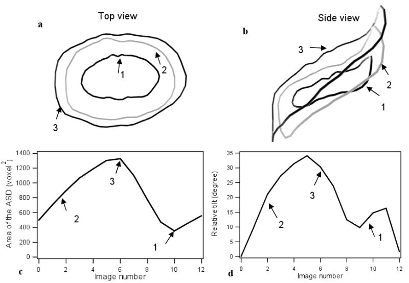 Figure 8