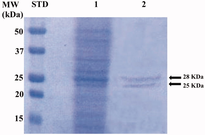 Figure 3.