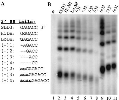 FIG. 8