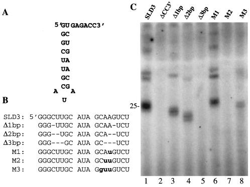 FIG. 7