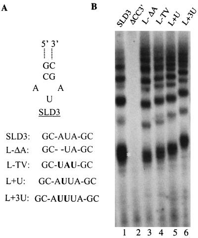 FIG. 6