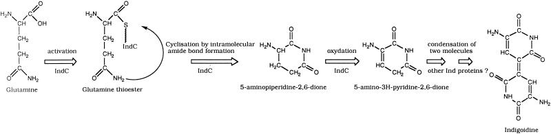 FIG. 5.