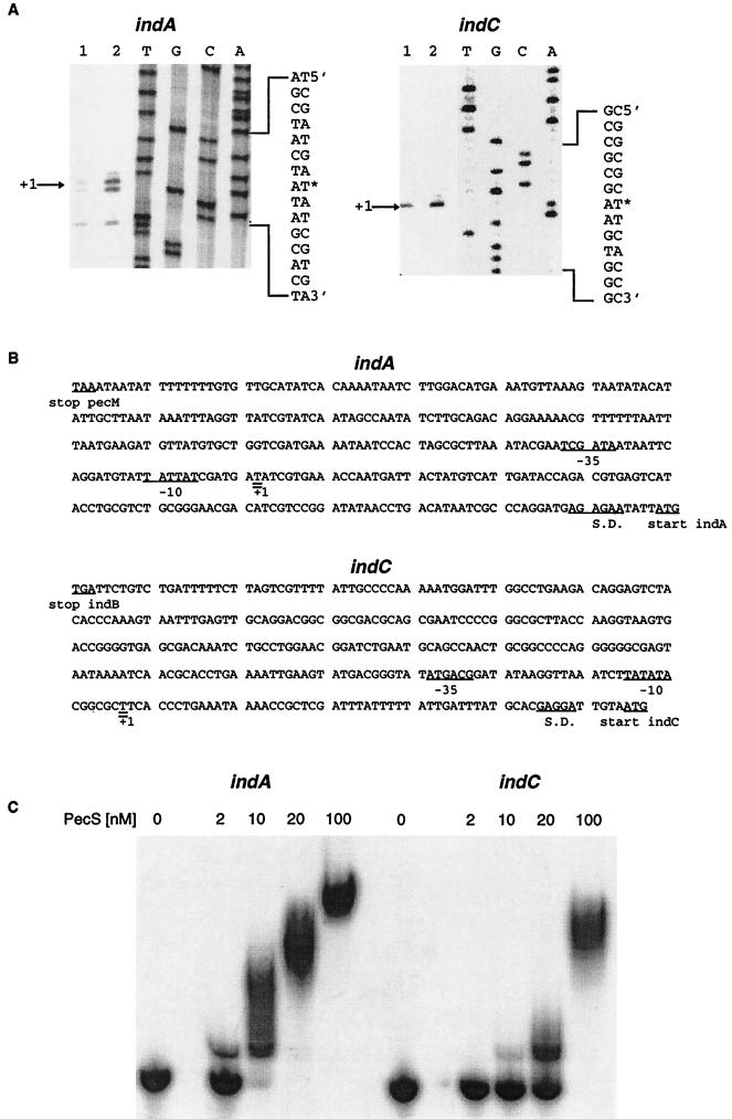 FIG. 7.