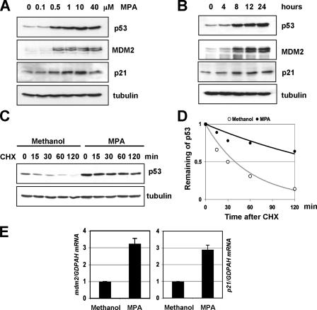 FIGURE 1.