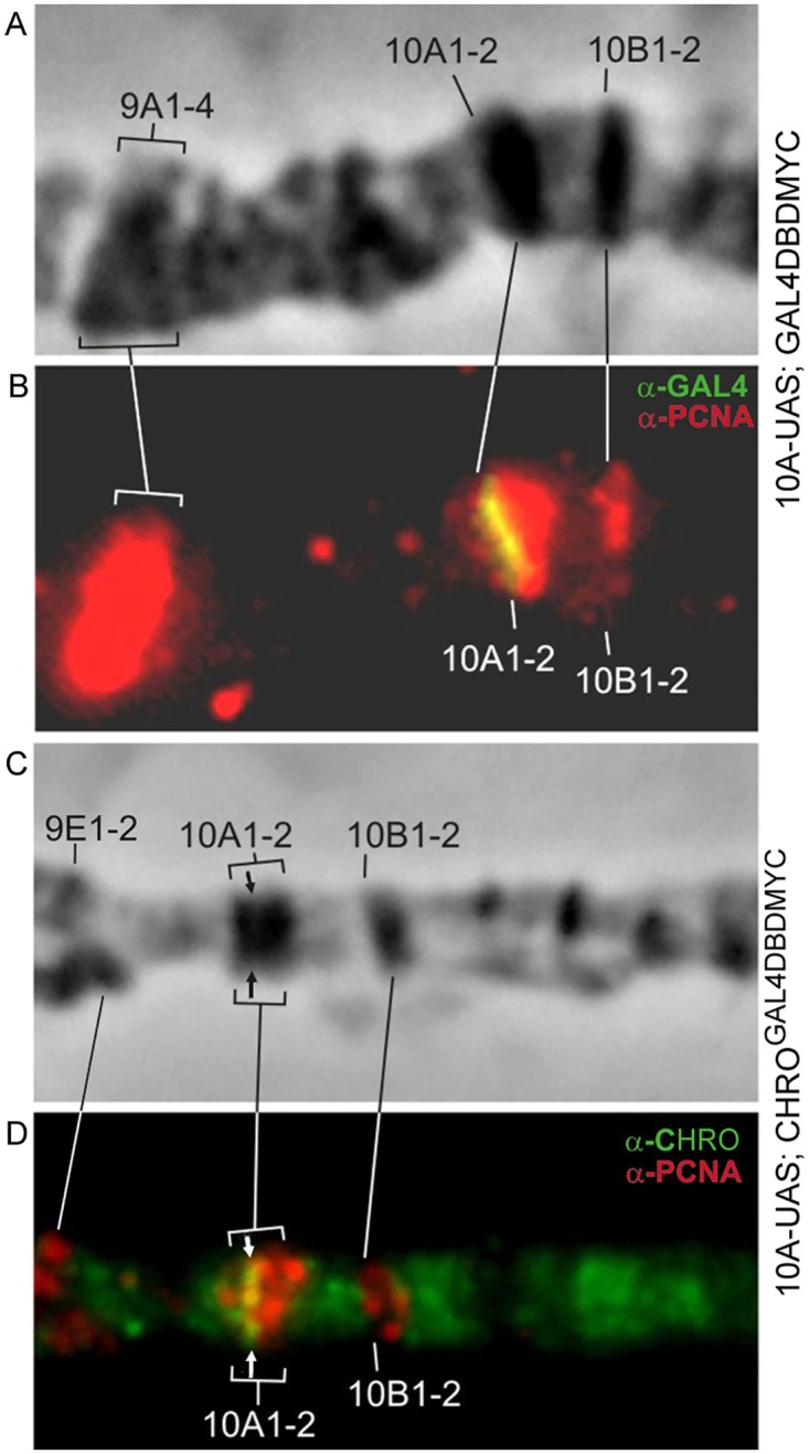 Fig 9