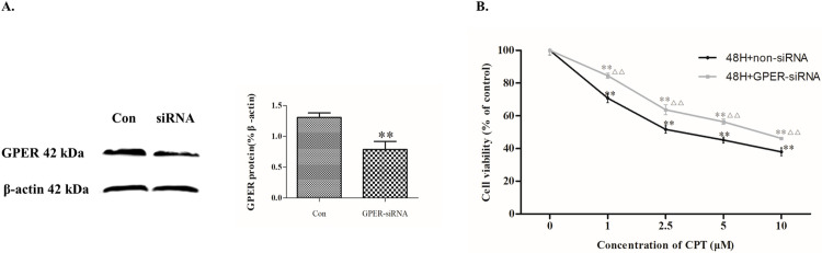 Fig 7