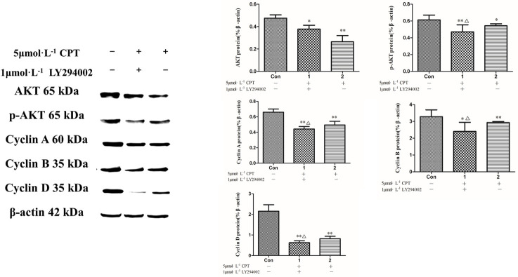 Fig 10