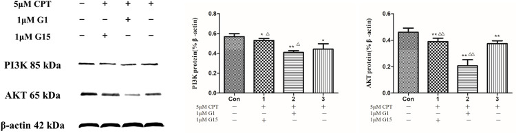 Fig 11