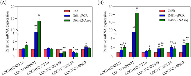 FIG 6