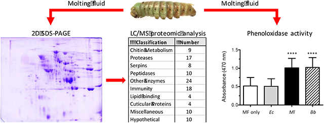 graphic file with name nihms-1865131-f0001.jpg