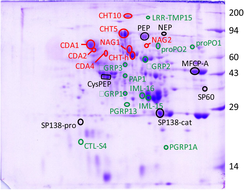 Figure 2.