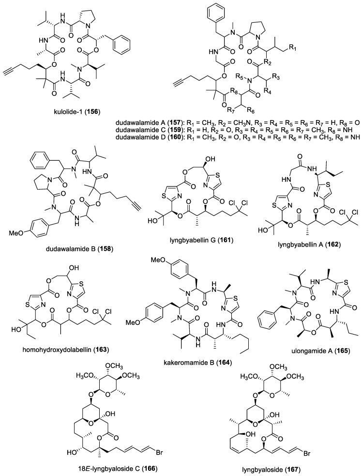 Figure 24