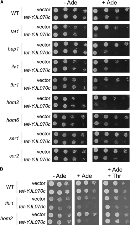 Figure 6.—