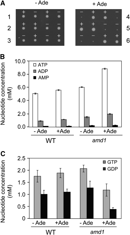 Figure 2.—