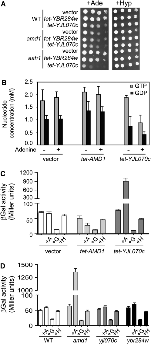 Figure 4.—