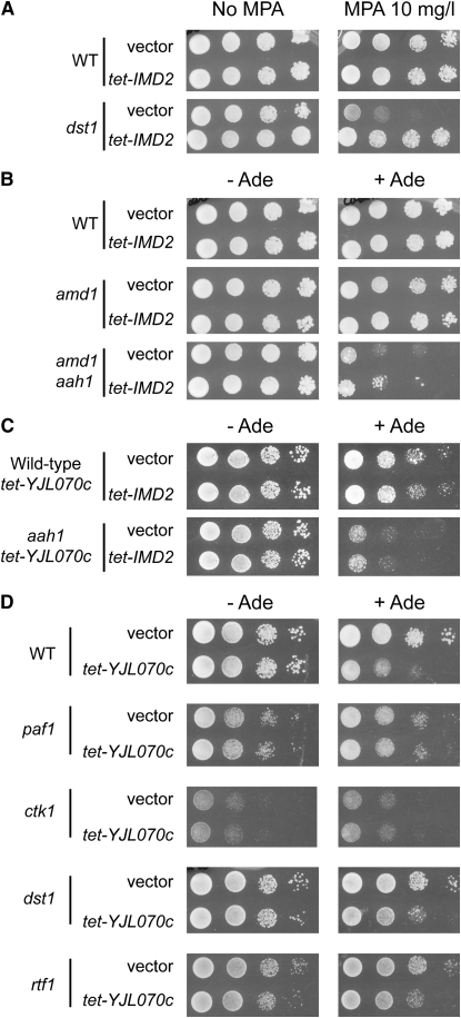 Figure 7.—