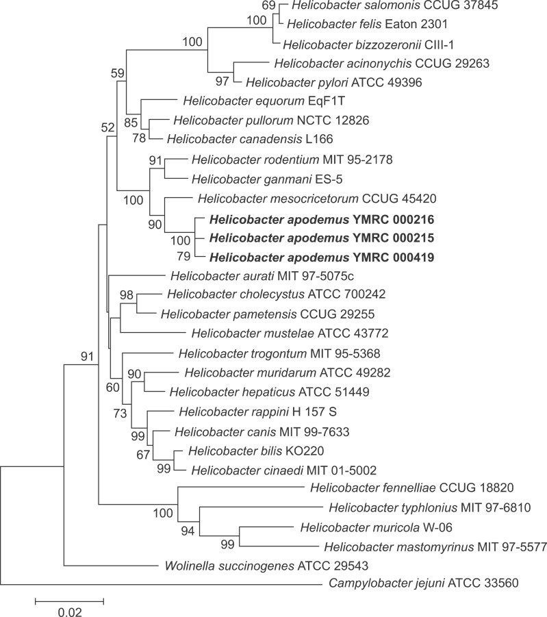 Fig. 2