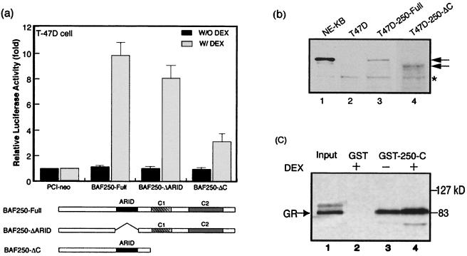 FIG. 7