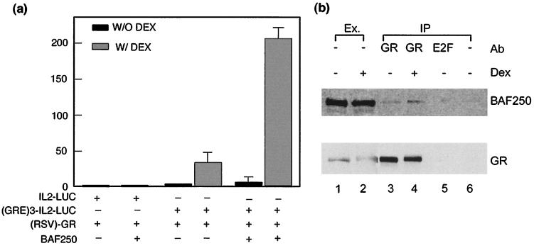 FIG. 6