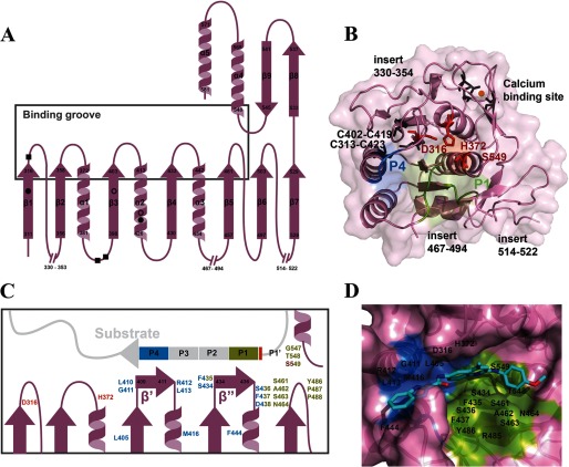 FIGURE 2.