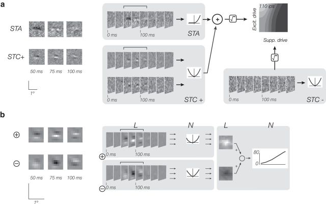 Figure 7.