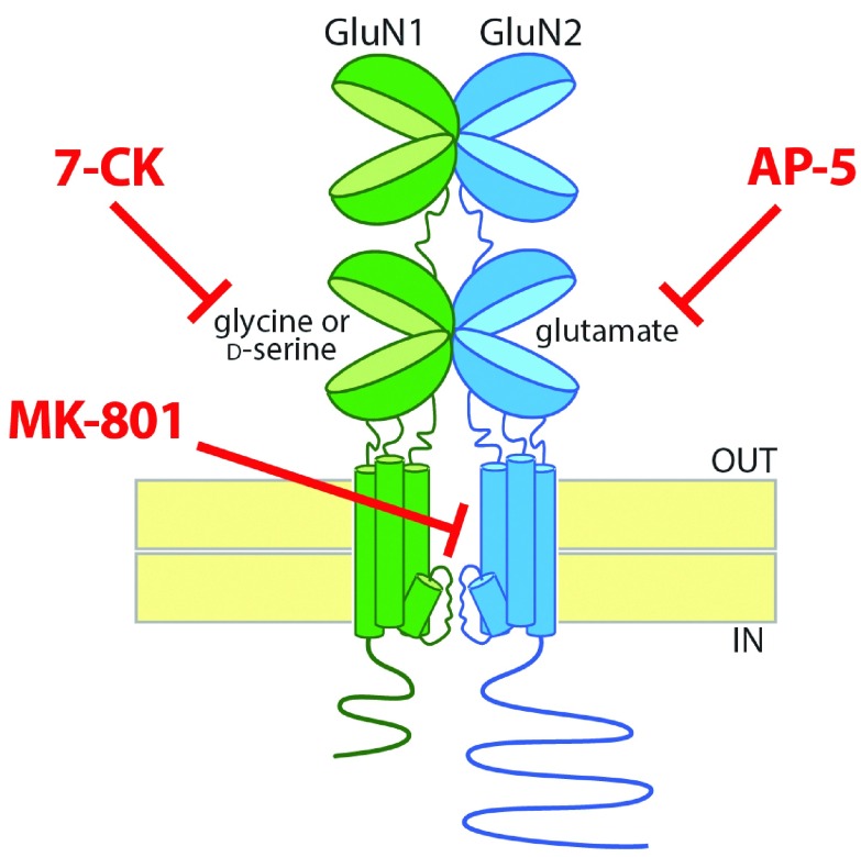 Figure 1. 