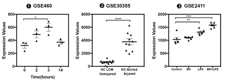 Supplementary Figure 6. 