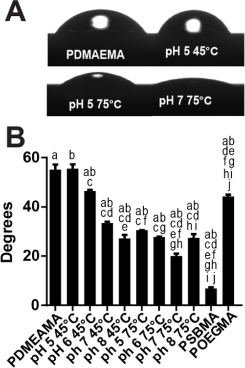 Figure 7: