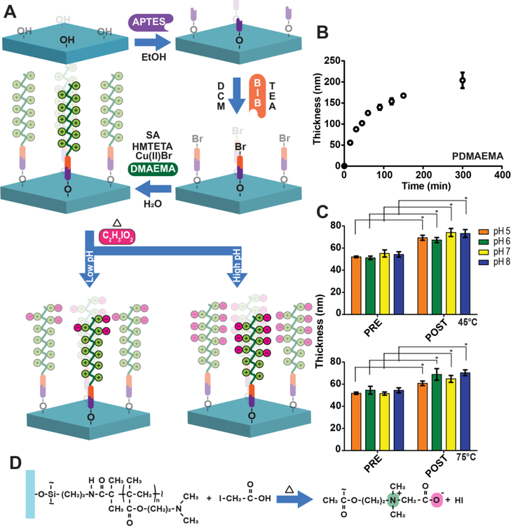 Figure 4: