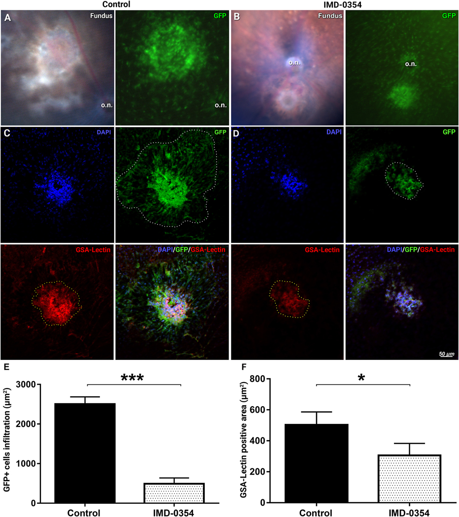 Figure 4: