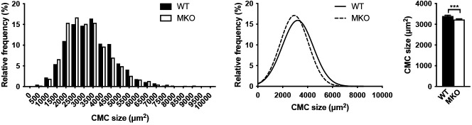 Figure 2—figure supplement 1.