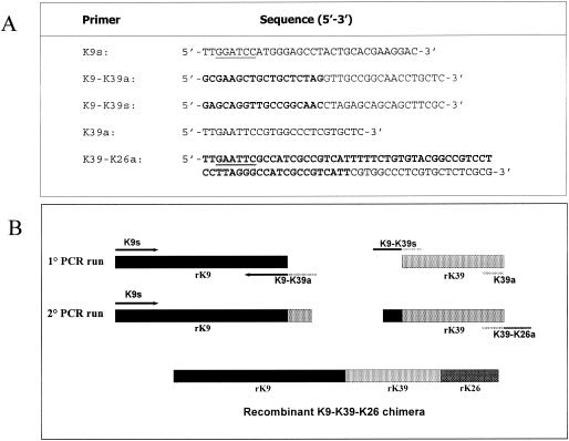 FIG. 1.