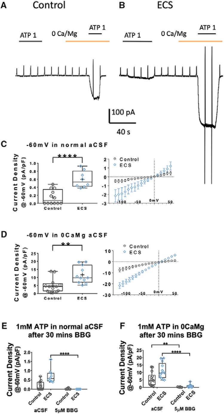 Figure 7.