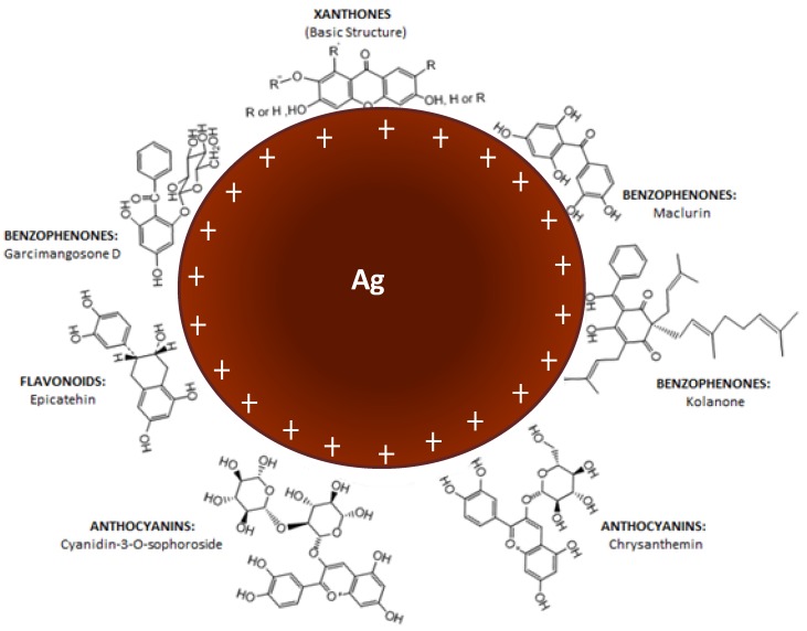 Figure 5