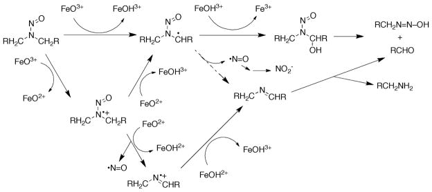 Scheme 2