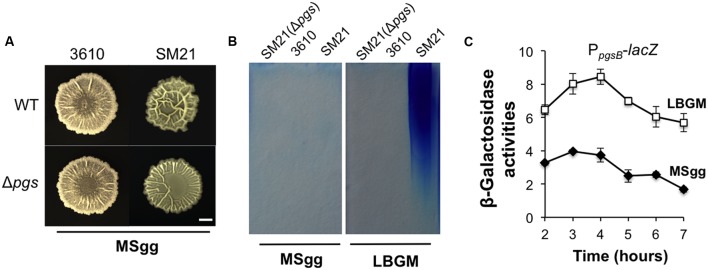 FIGURE 6