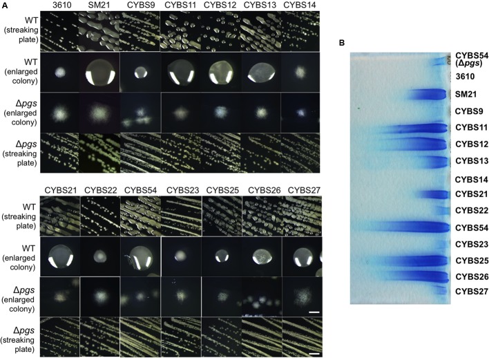 FIGURE 2