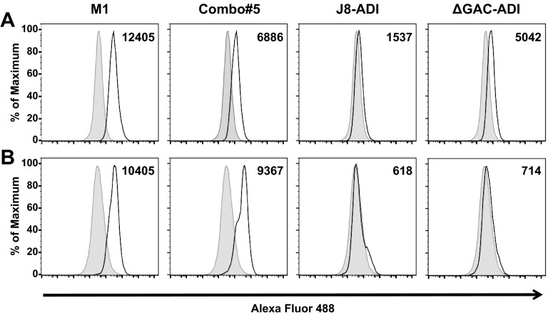 FIG 2 