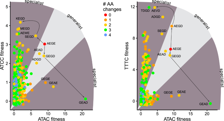 Figure 10.