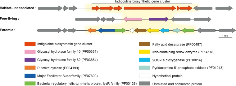 FIG 6