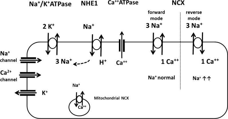 Fig. 2