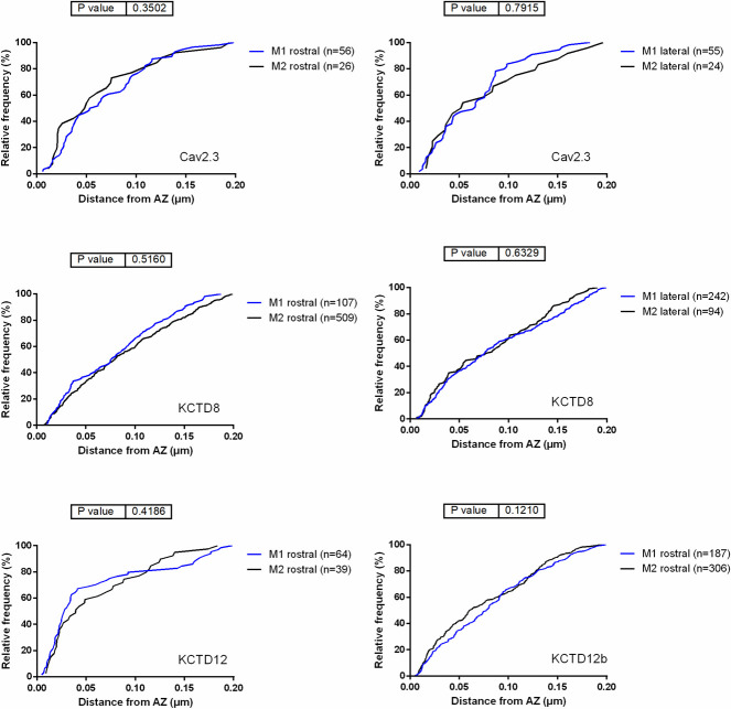 Figure 3—figure supplement 1.