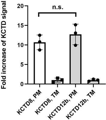 Figure 2—figure supplement 1.