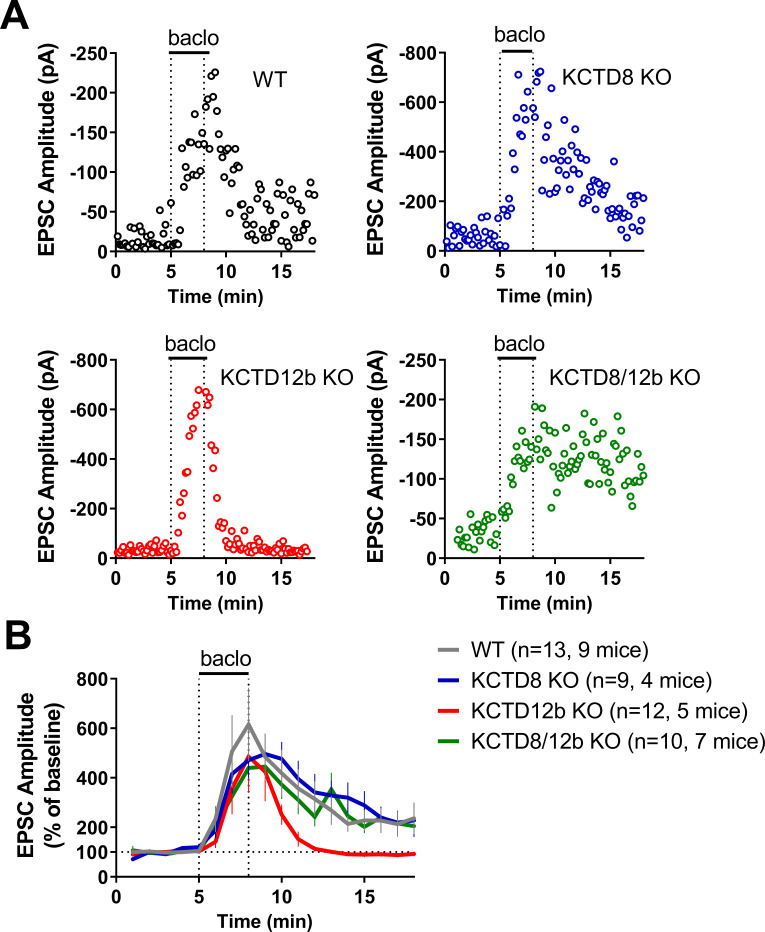 Figure 6—figure supplement 1.