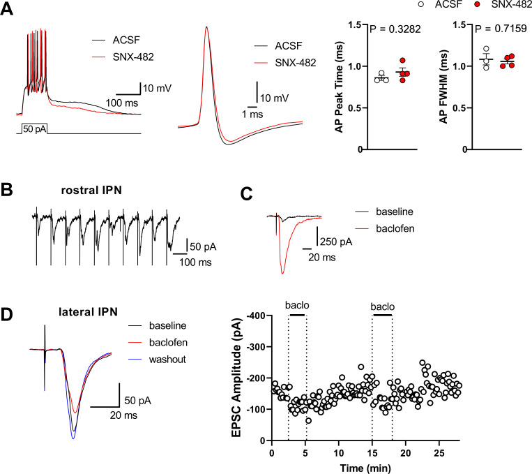 Figure 1—figure supplement 1.